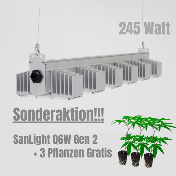 SanLight Q6W Gen 2.1 Aktion für Deutschland!